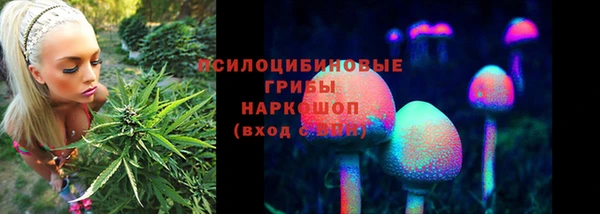 синтетический гашиш Богородск