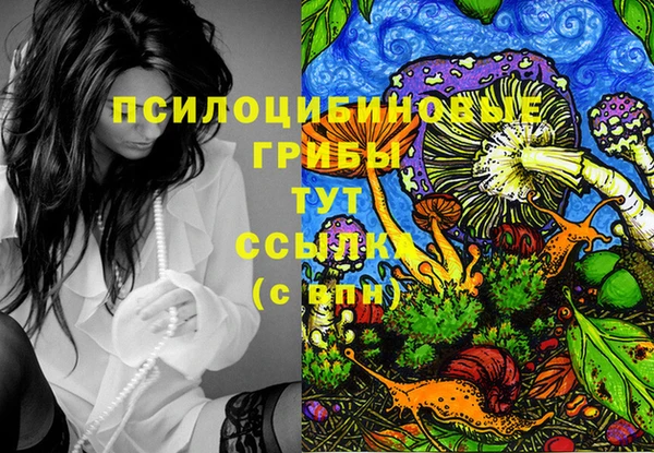 2c-b Бронницы